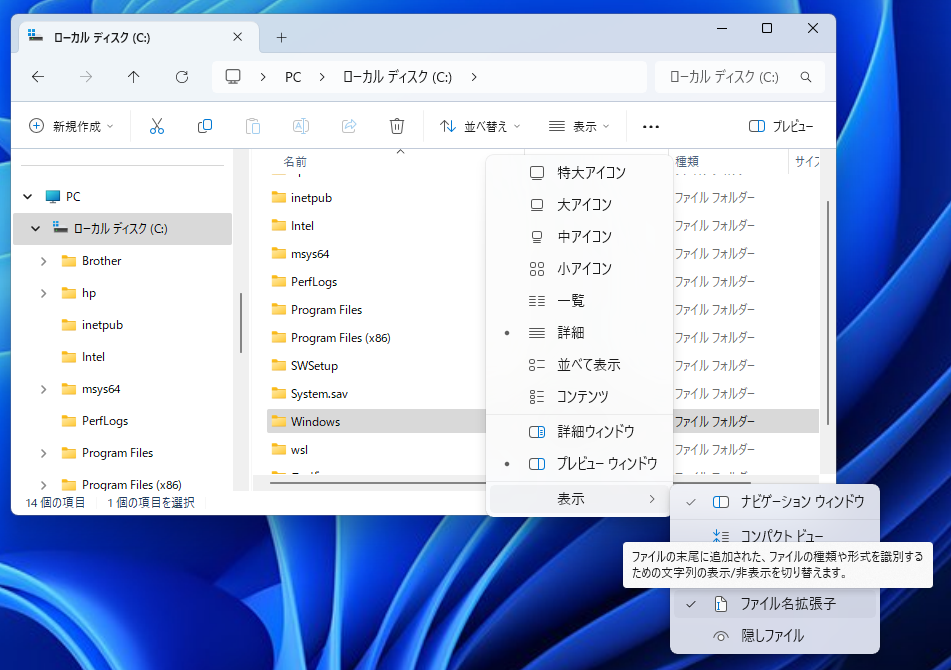 disp_file_ext.png